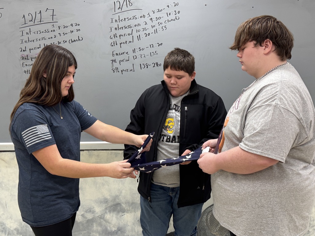 learning to fold US flag