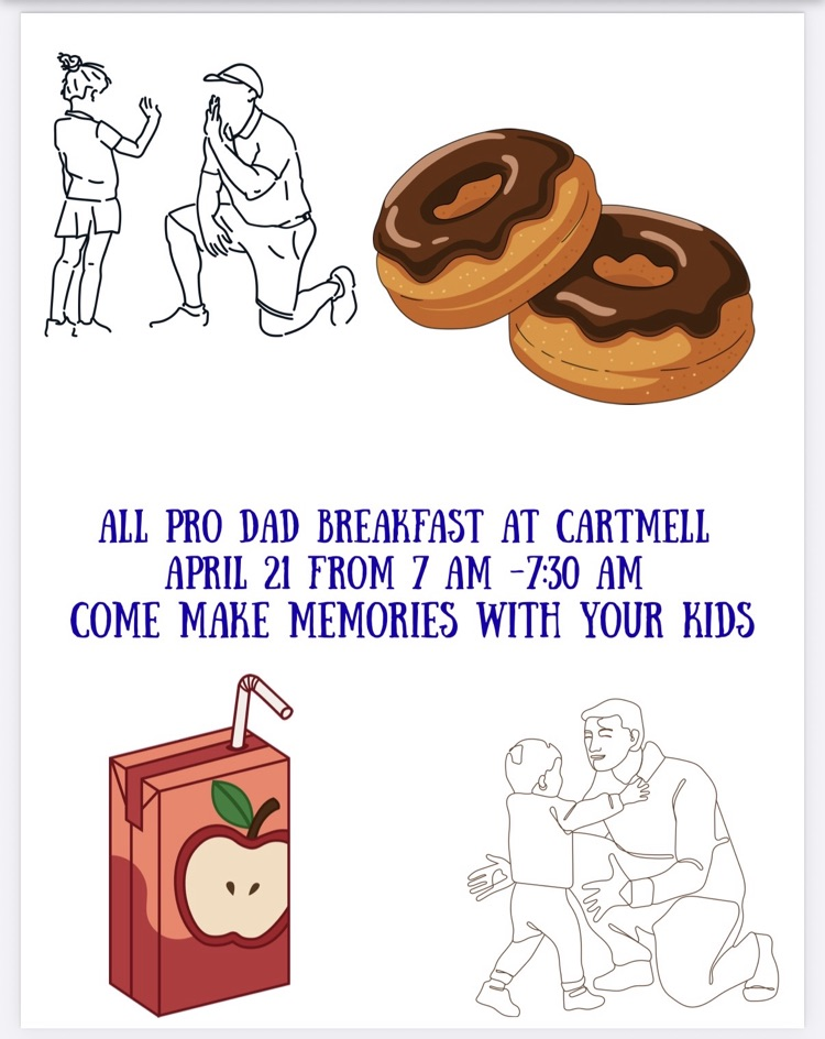 all pro dads 