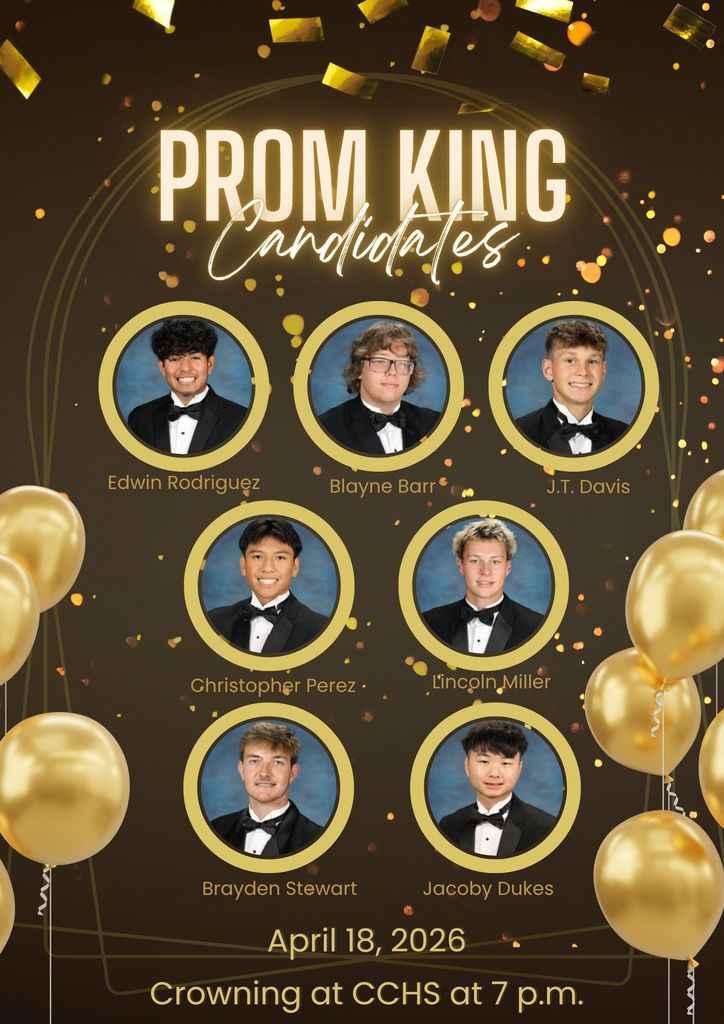 prom king flyer
