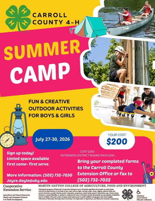 4H camp flyer
