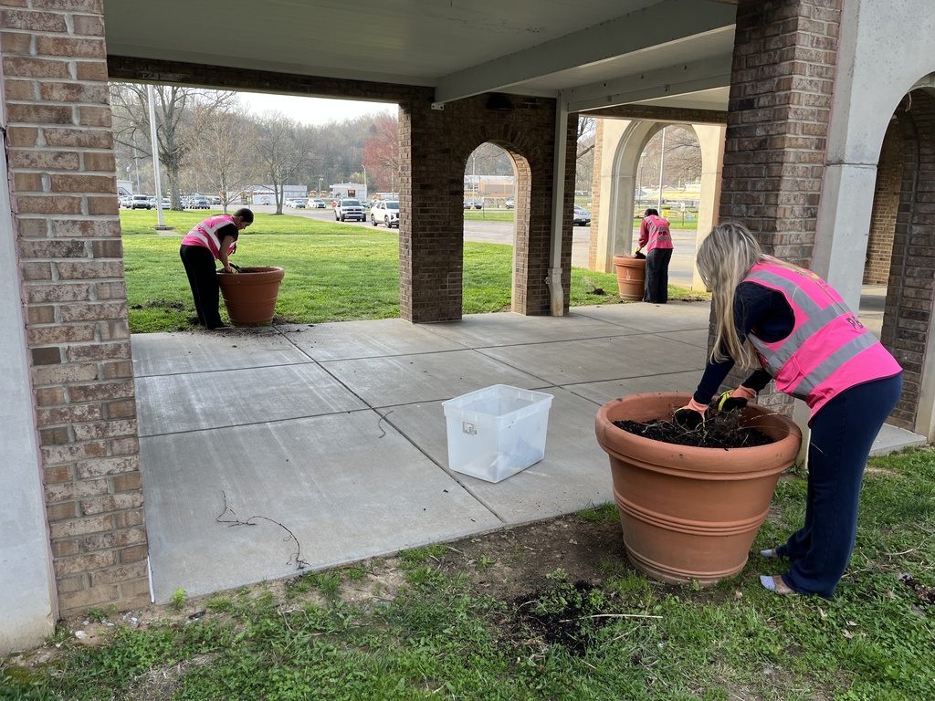 Planting flowers