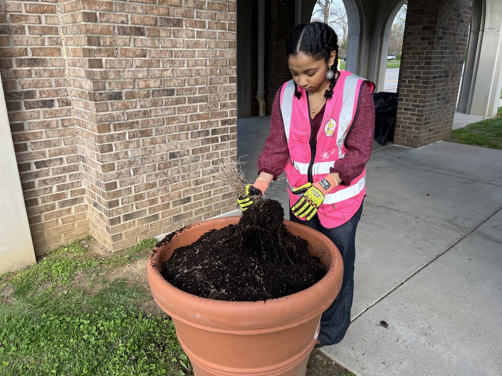 Planting flowers