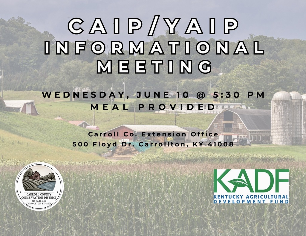 YAIP Informational Meeting flyer