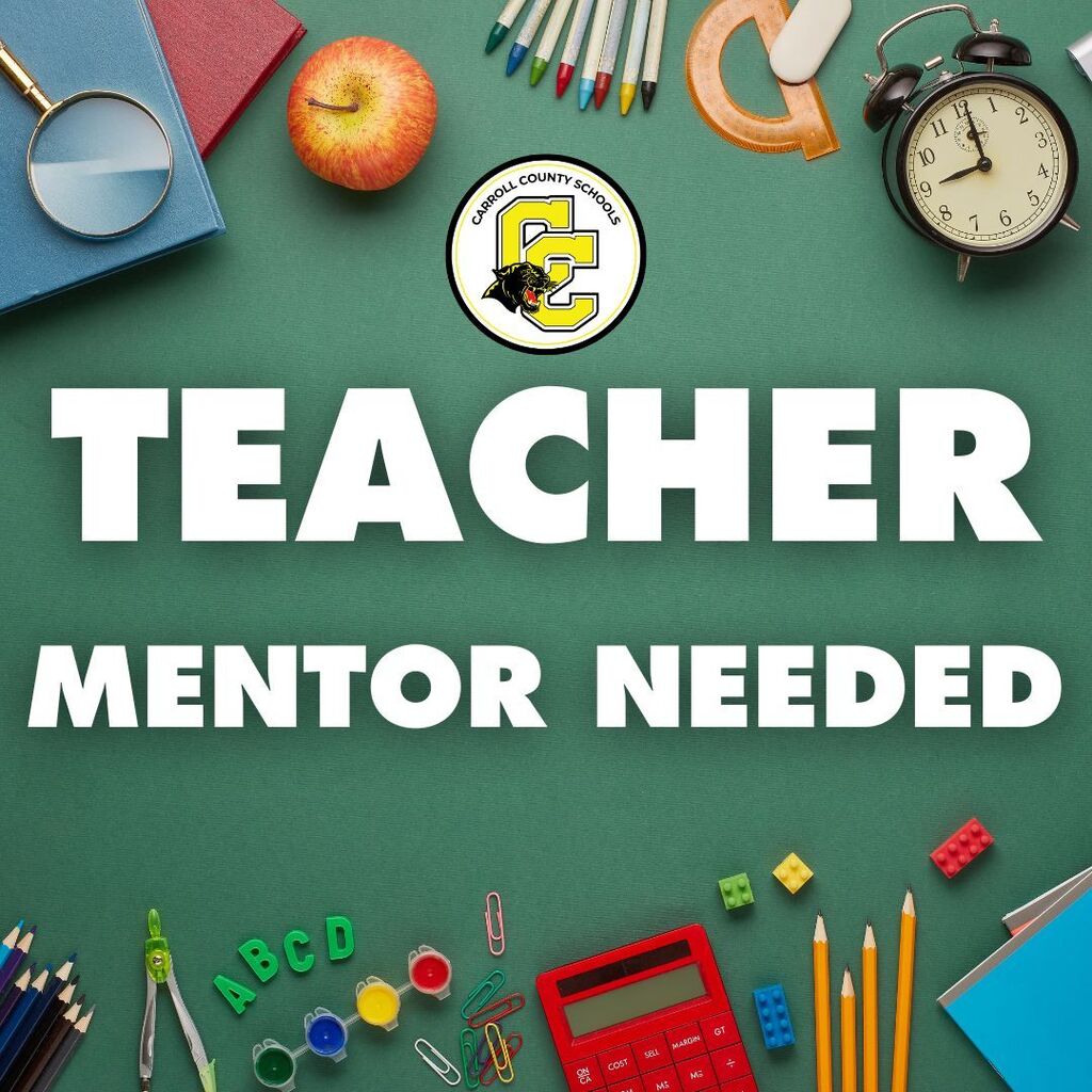 Teacher mentor