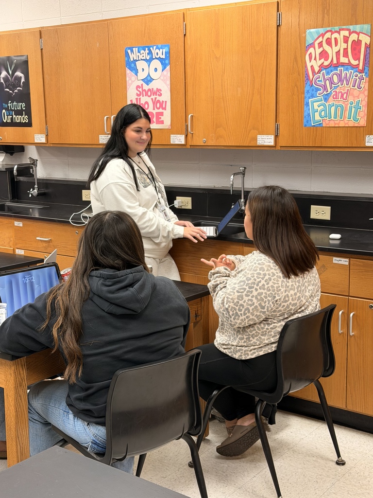 Students conducting interviews