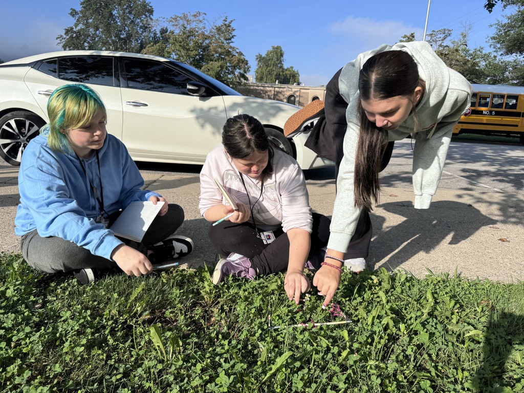Students studying grass