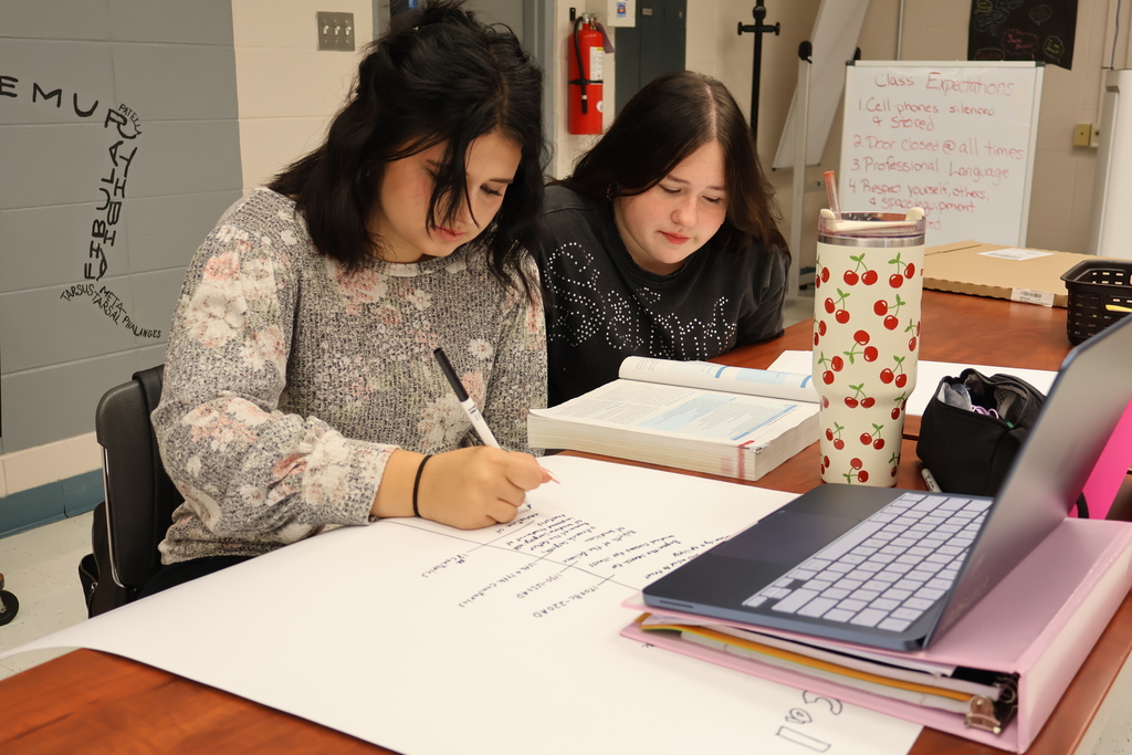 Nursing students working on project