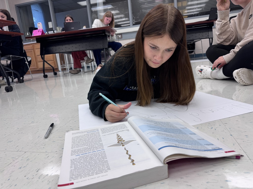 Nursing student working on project