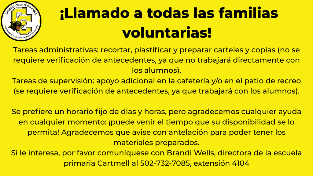 volunteer guidelines spanish