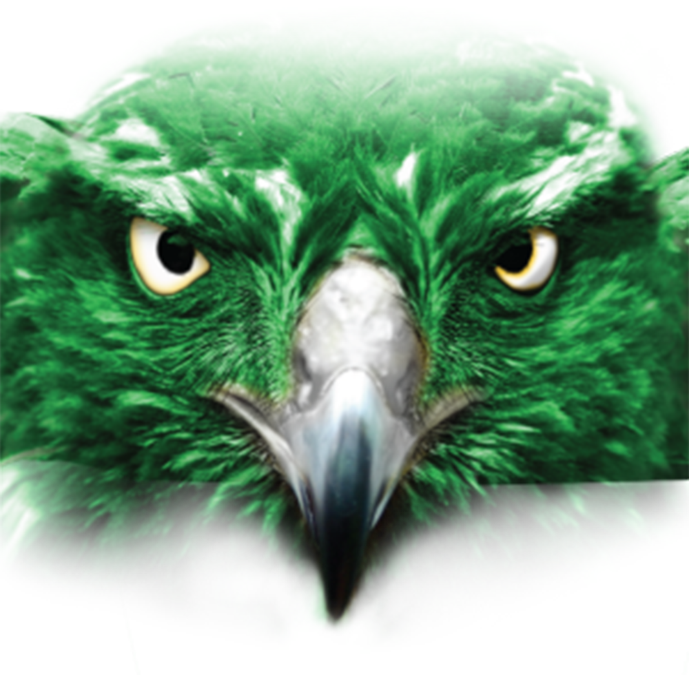 hawk logo