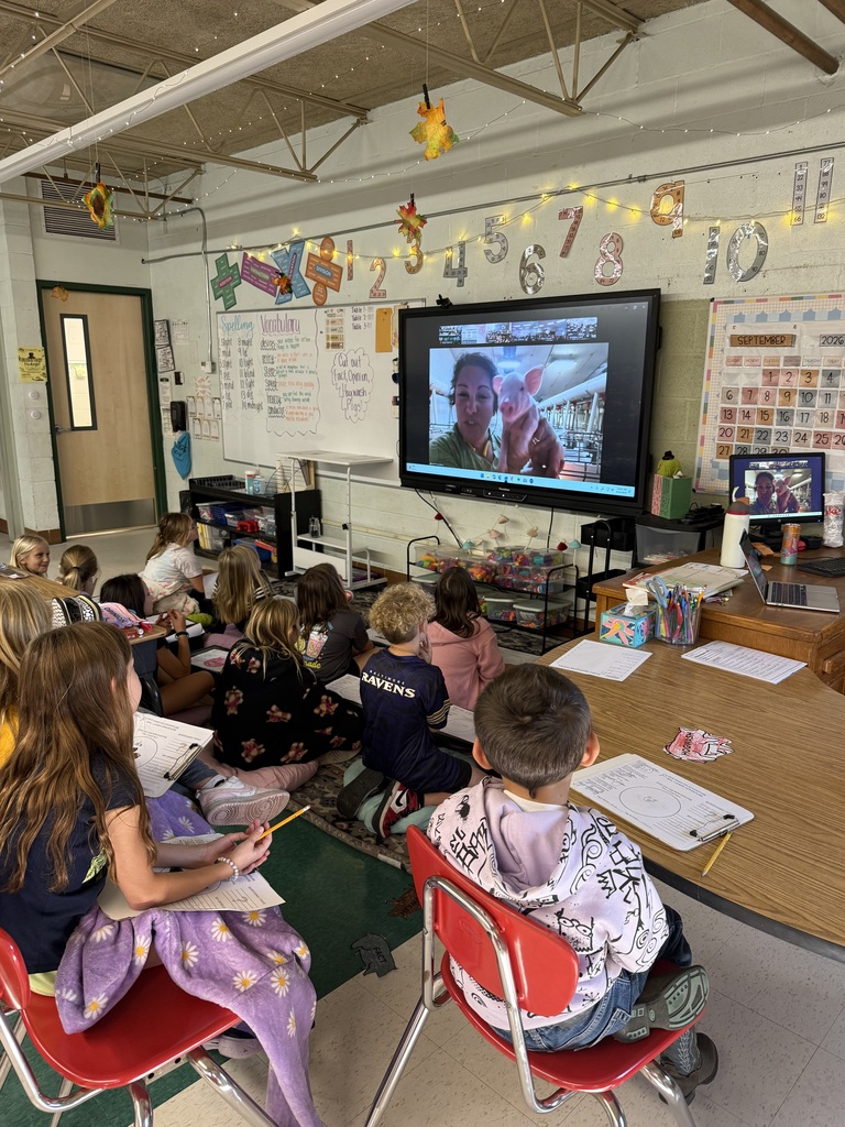3rd Grade Virtual Field Trip