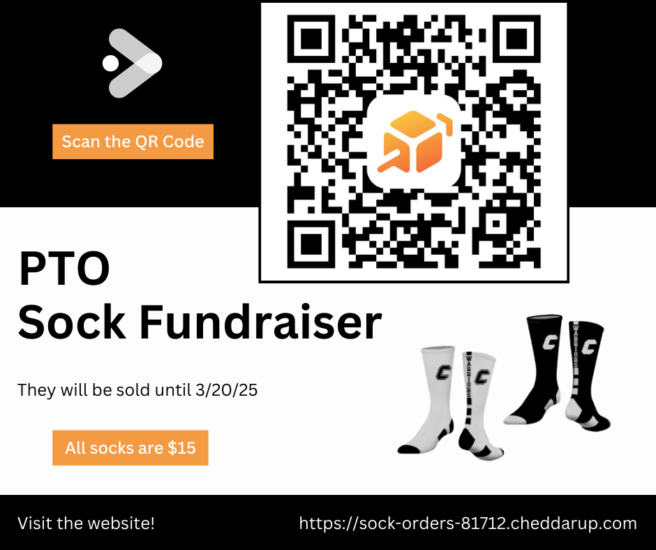 PTO socks