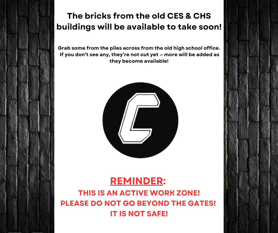 Bricks