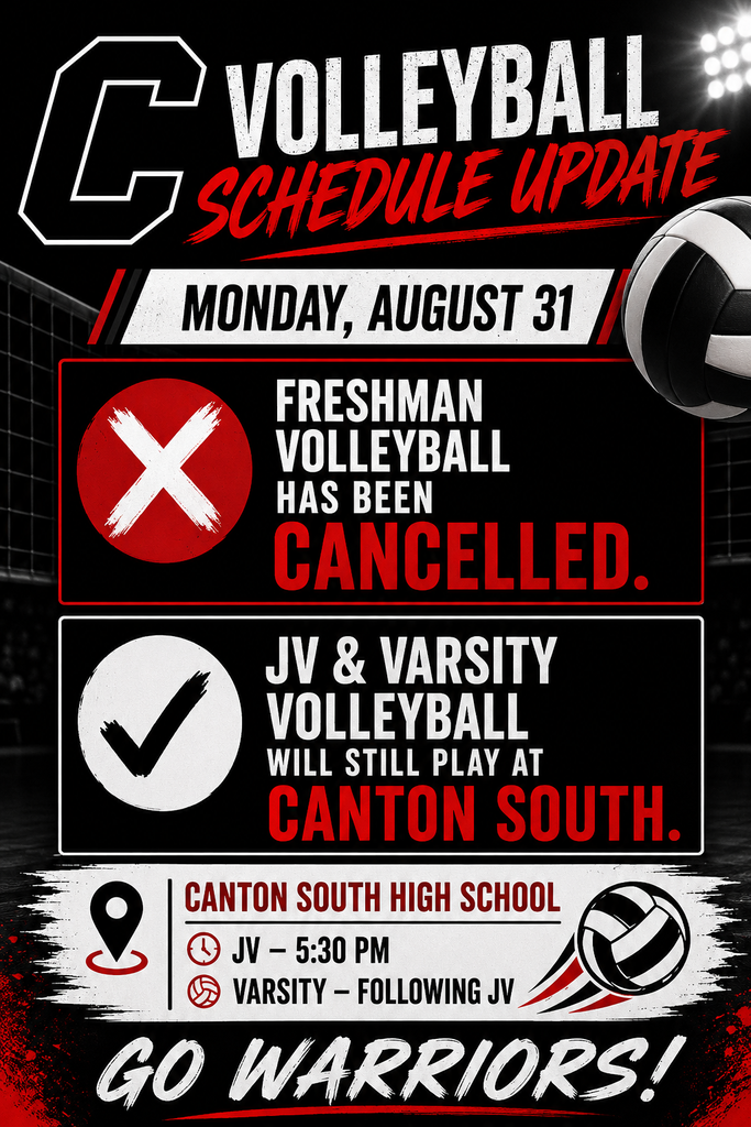 Volleyball game
