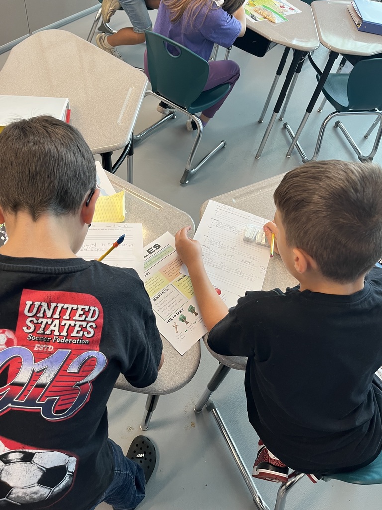 students and teacher working
