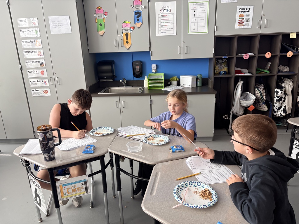 students learning