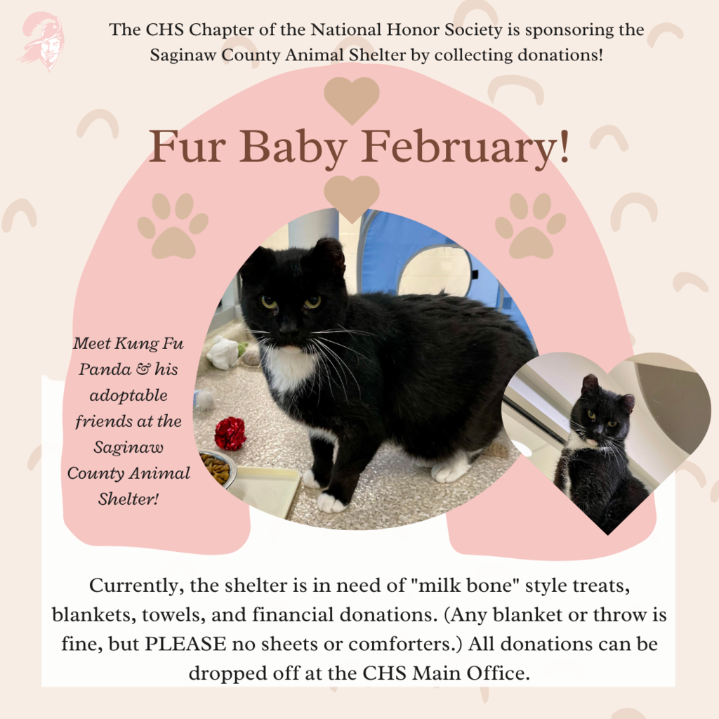 Fur Baby February graphic with photo of an adoptable animal and details on NHS donation drive