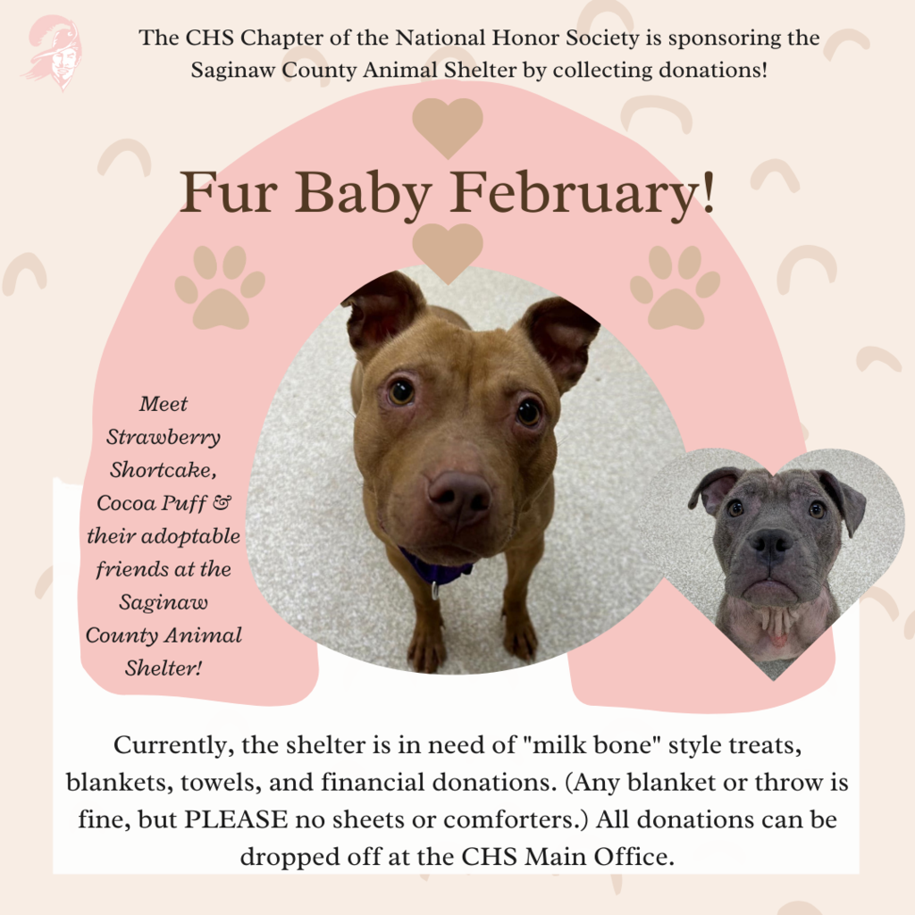 Fur Baby February graphic with photo of an adoptable animal and details on NHS donation drive