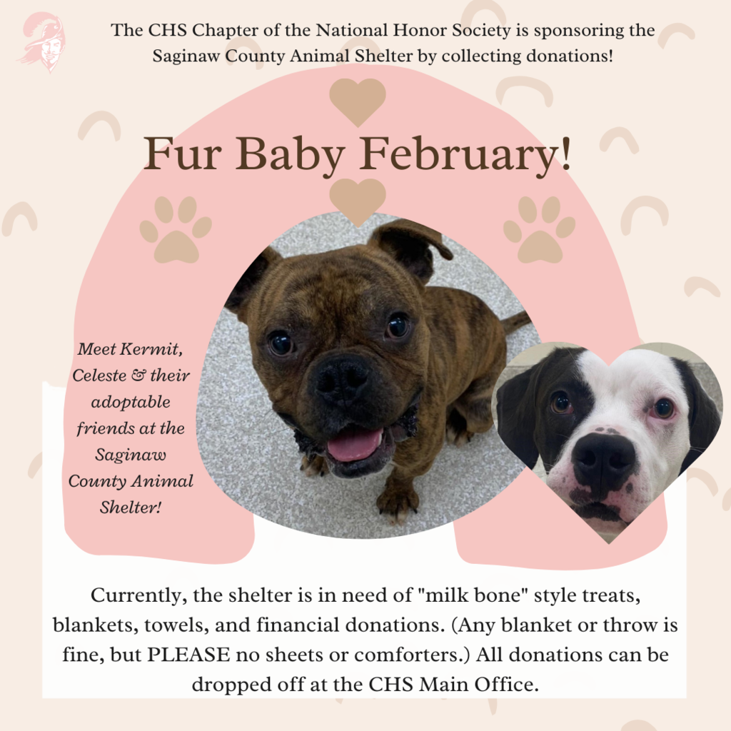 Fur Baby February graphic with photo of an adoptable animal and details on NHS donation drive