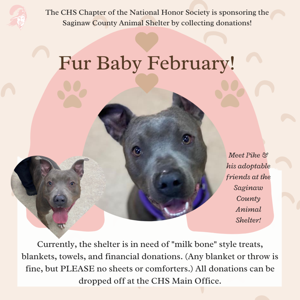 Fur Baby February graphic with photo of an adoptable animal and details on NHS donation drive