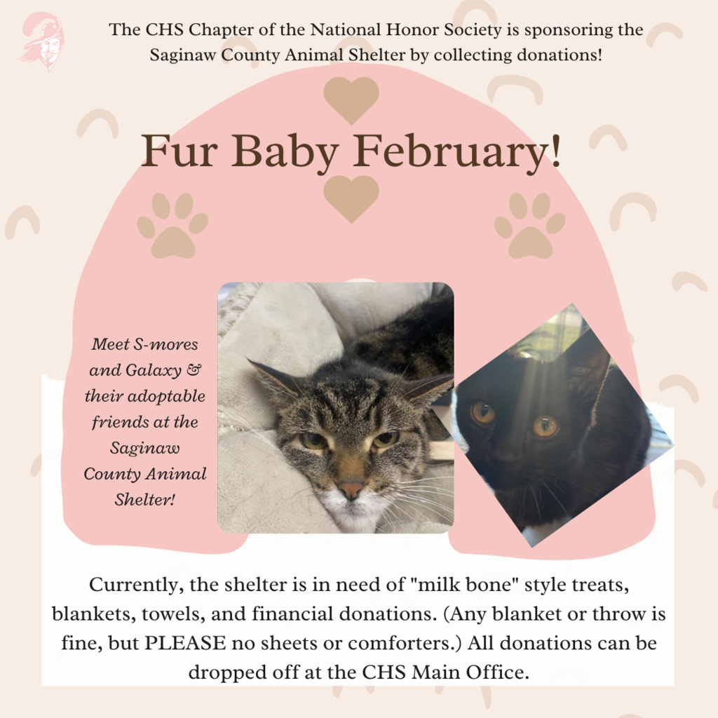 Fur Baby February graphic with photo of an adoptable animal and details on NHS donation drive
