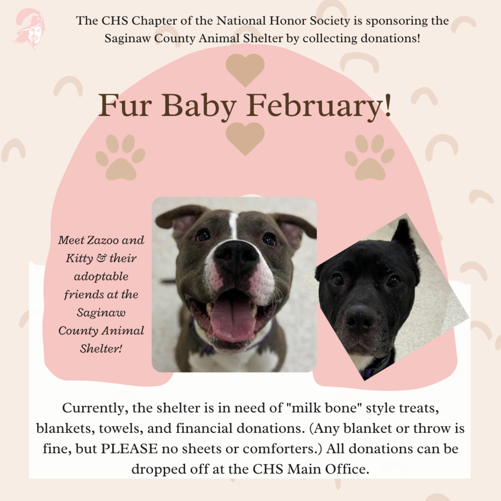 Fur Baby February graphic with photo of an adoptable animal and details on NHS donation drive