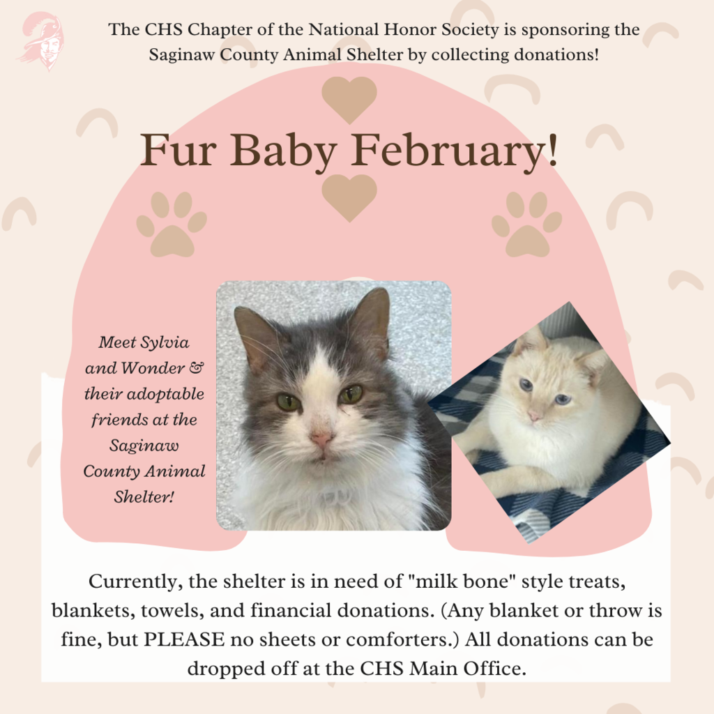 Fur Baby February graphic with photo of an adoptable animal and details on NHS donation drive
