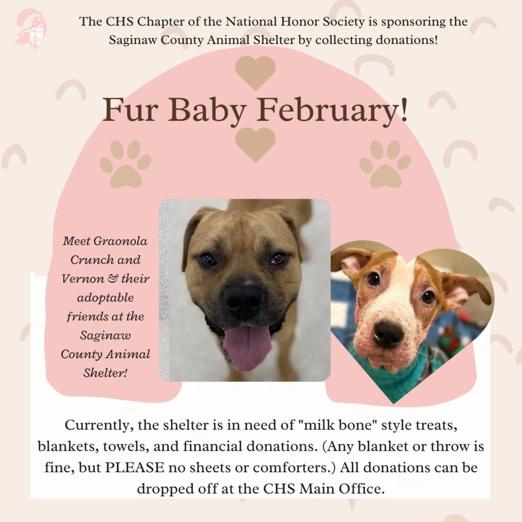 Fur Baby February graphic with photo of an adoptable animal and details on NHS donation drive