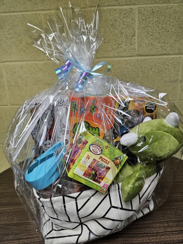 photo of dinosaur themed raffle prize basket