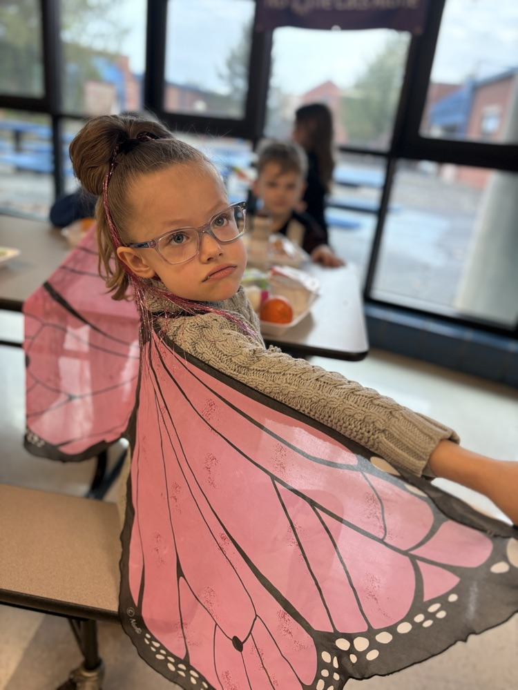 With colorful wings and a love for flowers, this fluttering friend reminds us that even small creatures can be wonderfully beautiful.