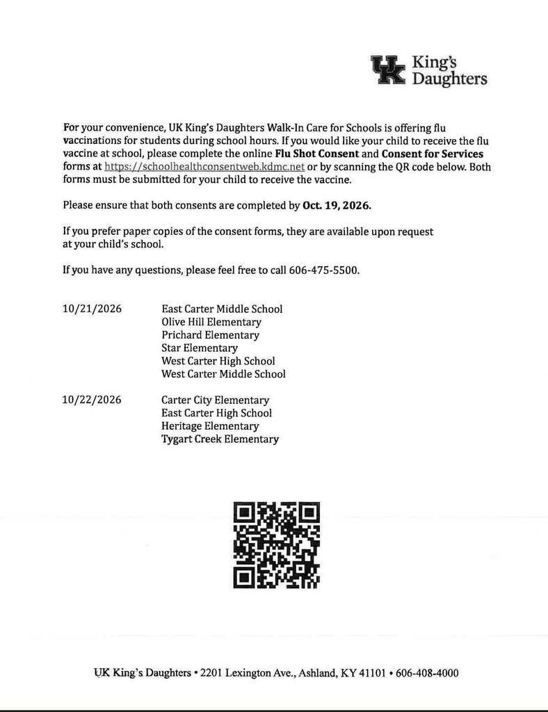 School flu vaccines