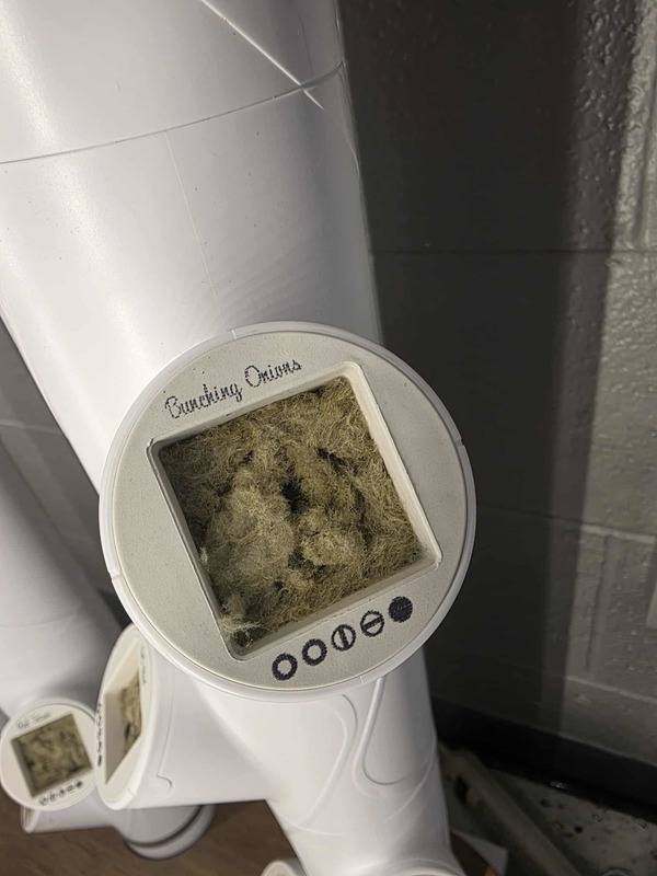 Hydroponics