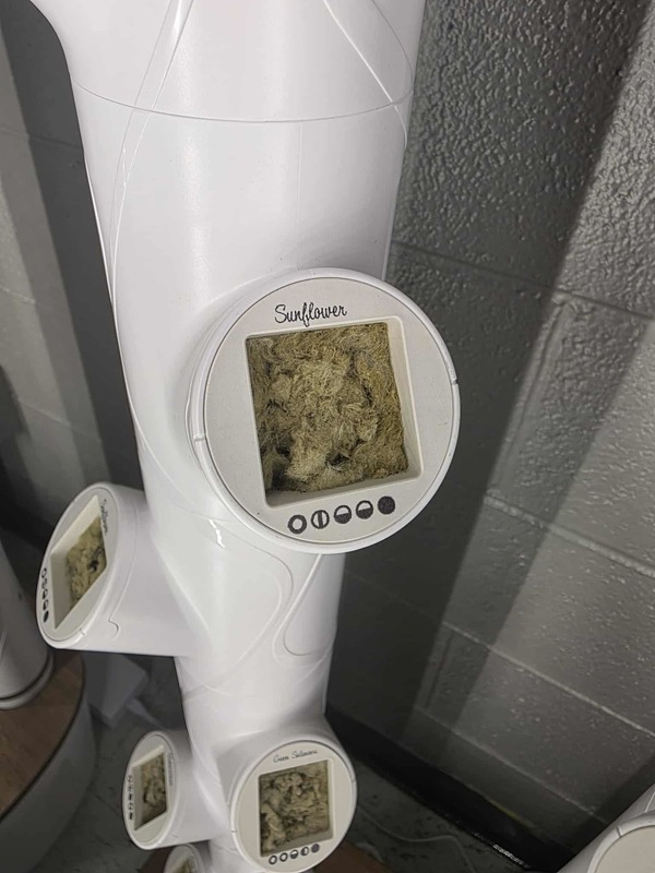 Hydroponics
