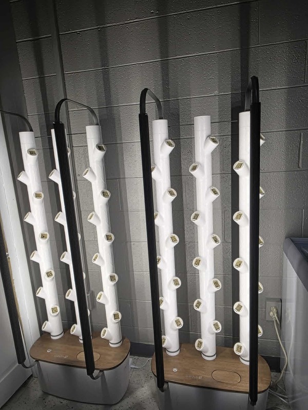 Hydroponics