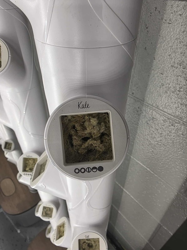 Hydroponics