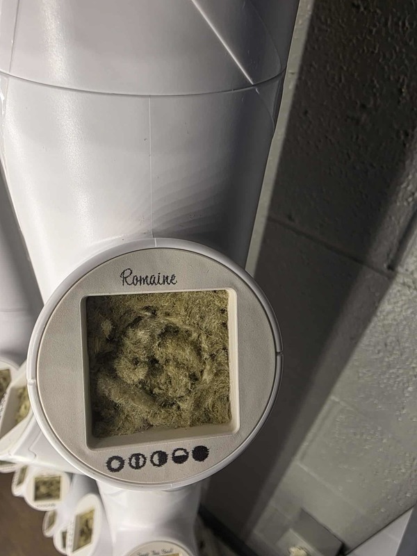 Hydroponics