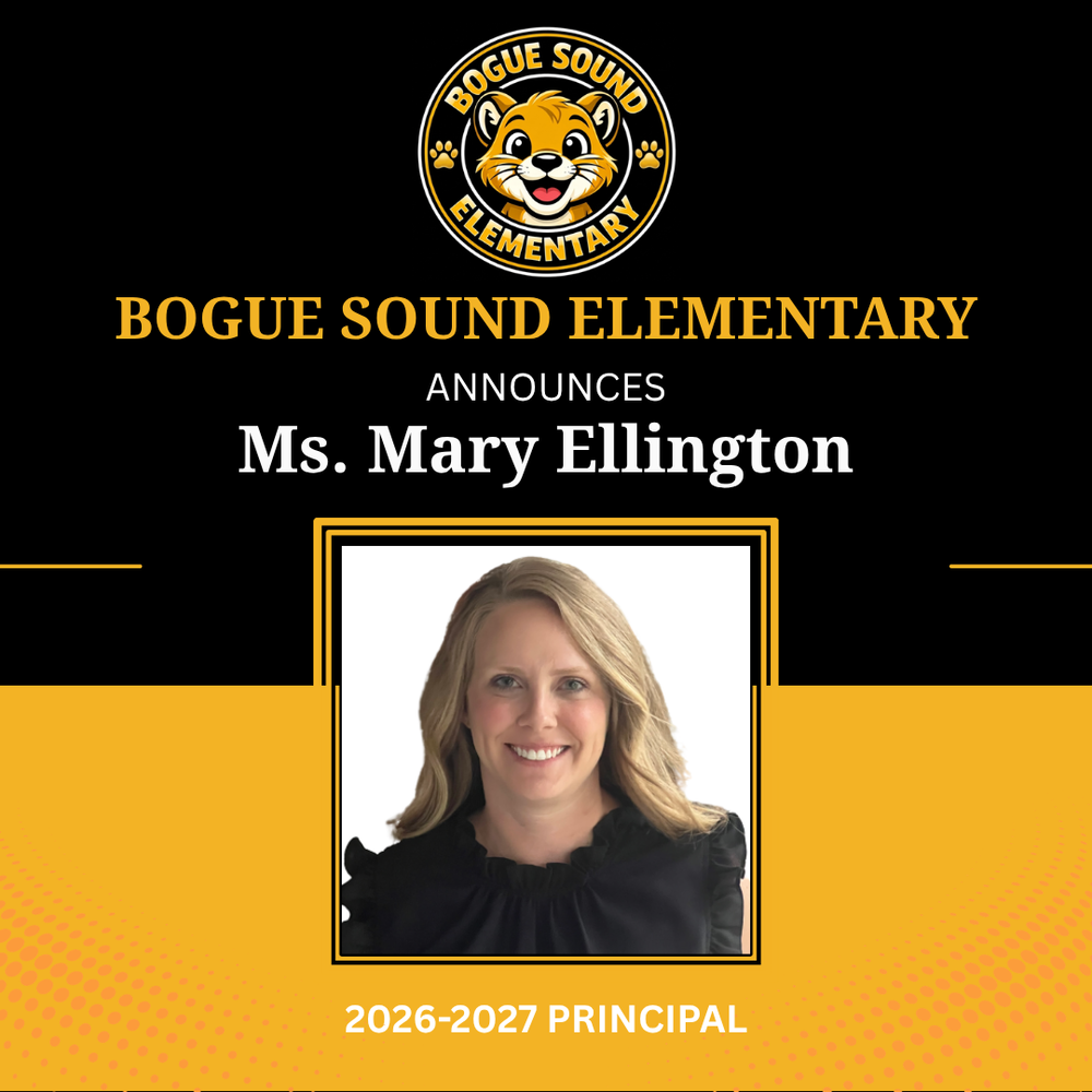 BSES New Principal, Mary Ellington