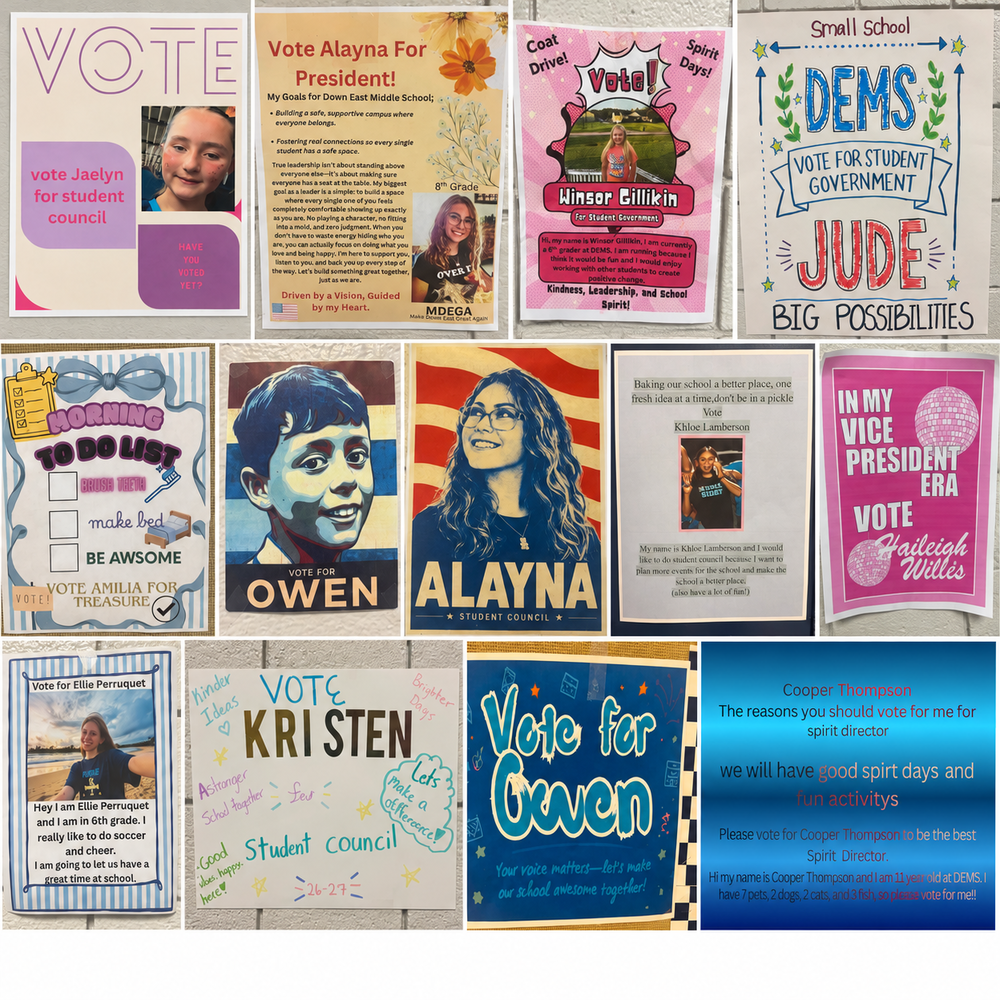 Student Election collage
