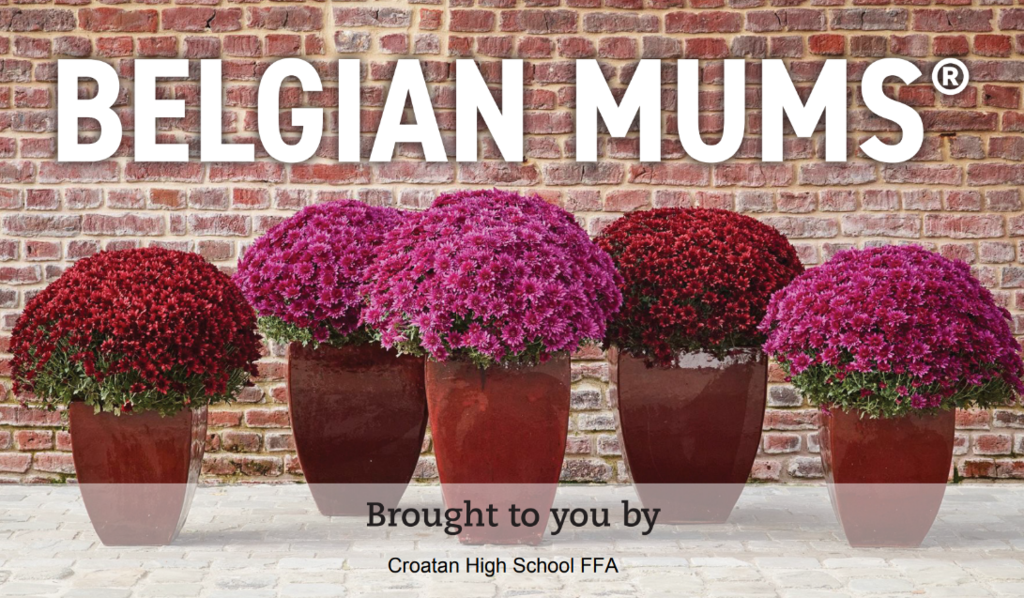 mums fundraiser