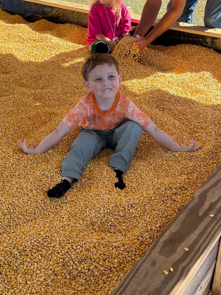 corn pit