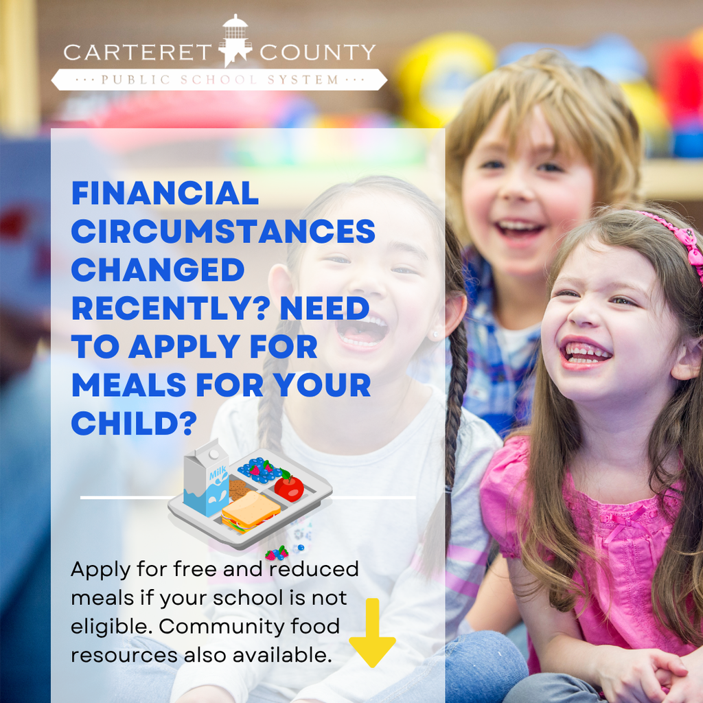 School meals and resources