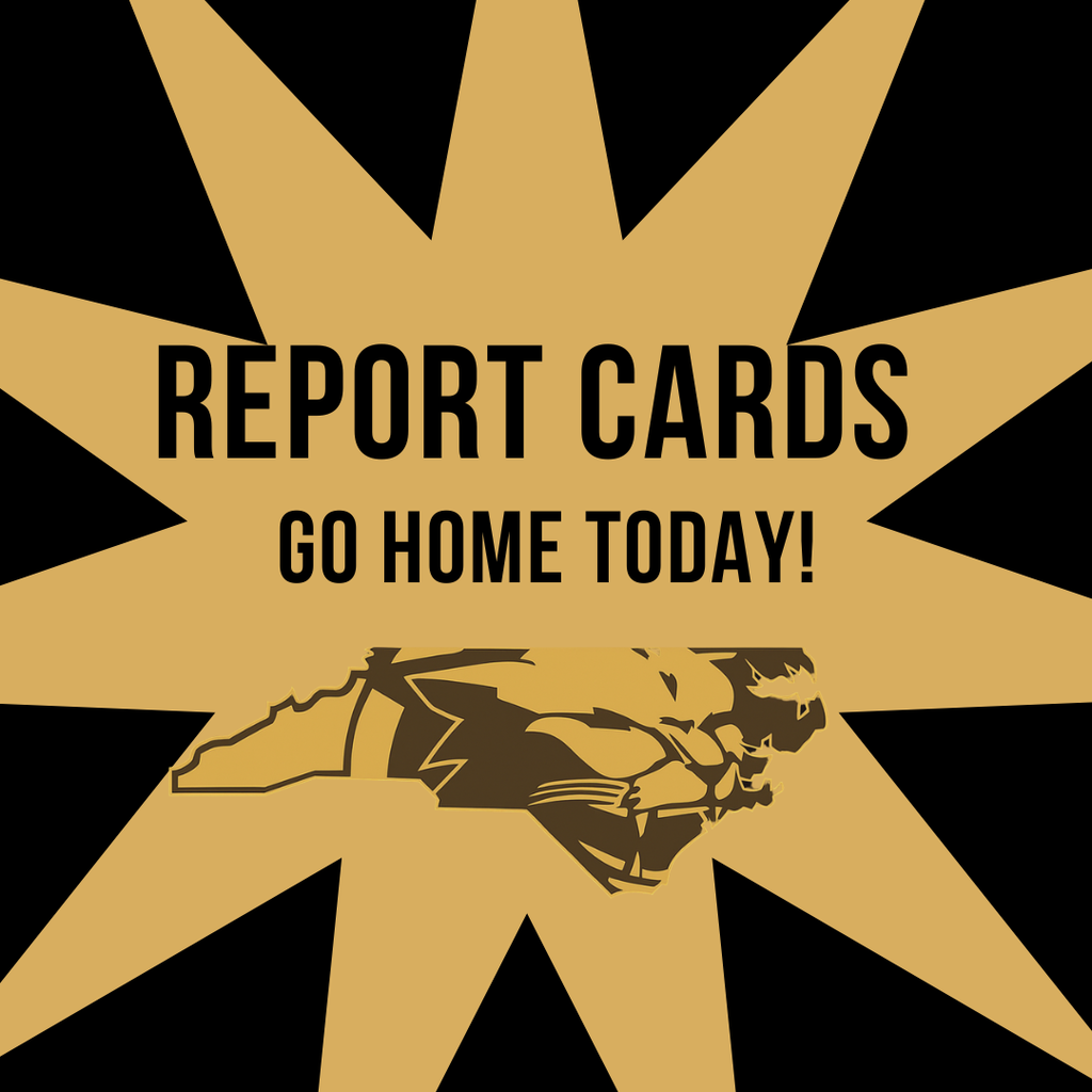 Report Cards