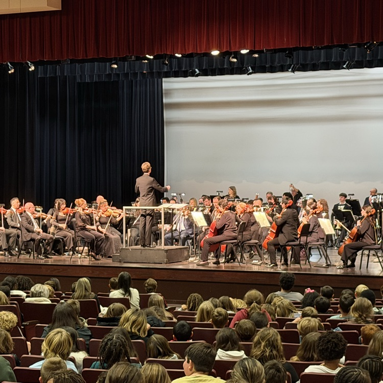 Director of Symphony