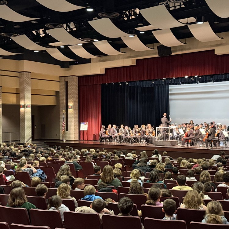 Audience at Symphony