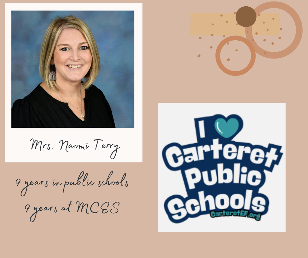 Infographic celebrating Mrs. Naomi Terry and her 9 years in public education!