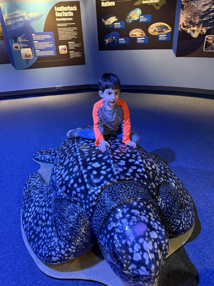Harrison at aquarium 