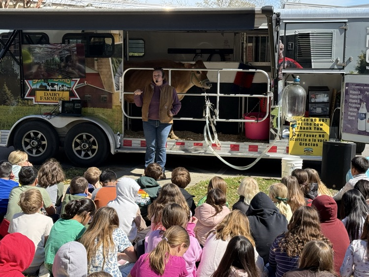 Pictures of students during the mobile dairy classroom presentation 