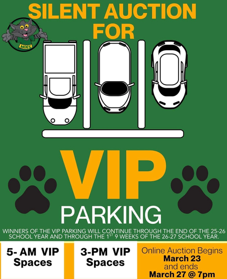 Silent Auction with Cars