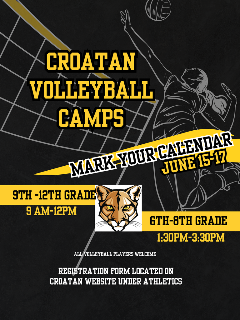 Volleyball camp flyer