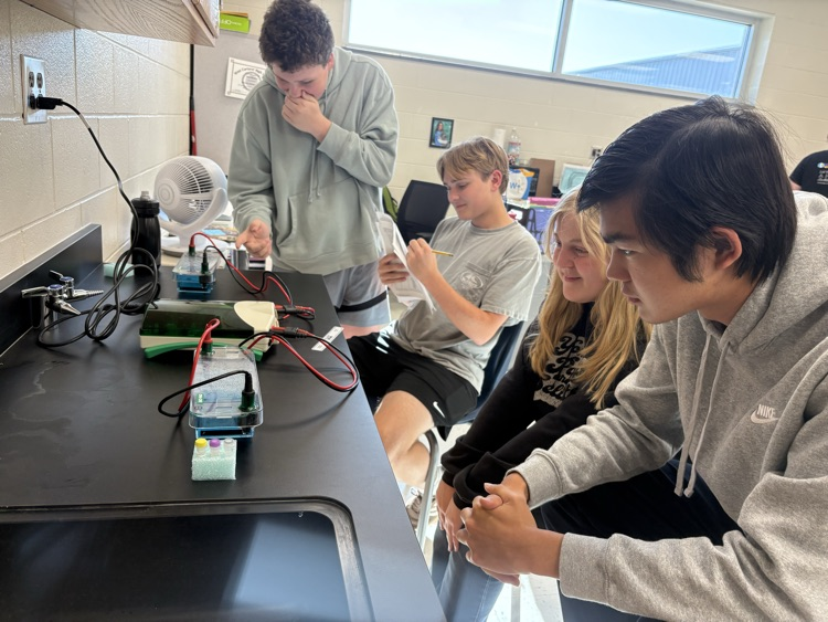 ap bio lab